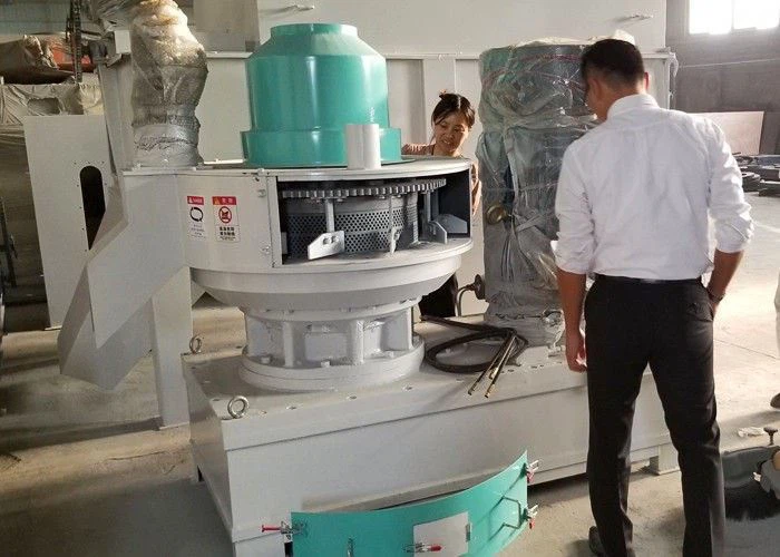 Sunflower Husk Pellet Plant price